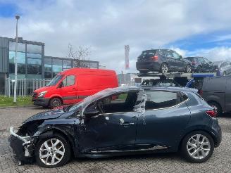 škoda osobní automobily Renault Clio 0.9 TCe Limited BJ 2019 60380 KM 2019/1