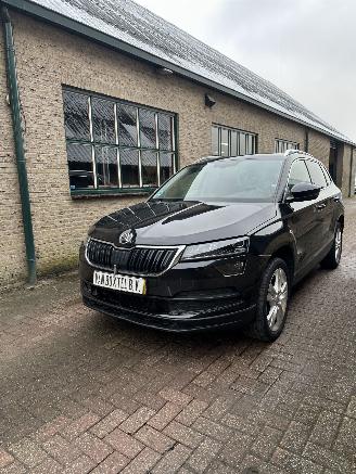 skadebil auto Skoda Karoq 1.5 TSI ACT Style business 2019/1