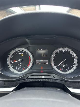 Skoda Karoq 1.5 TSI ACT Style business picture 14