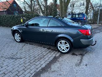 Renault Mégane Coupe Cabriolet 2.0-16V Privilège Luxe picture 5