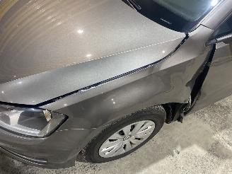 Volkswagen Golf Golf Variant AUTOMAAT picture 7