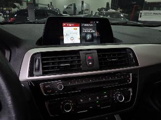 BMW 1-serie 1-Reeks (2015) 5-deurs (F20N) picture 13