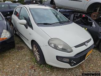  Fiat Punto Punto Evo (199), Hatchback, 2009 / 2012 1.3 JTD Multijet 85 16V Euro 5 2011/11