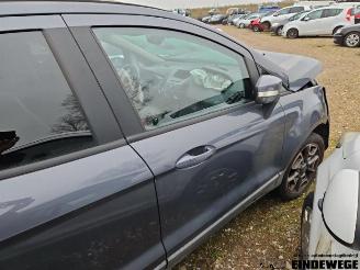 Ford EcoSport EcoSport (JK8), SUV, 2013 1.0 EcoBoost 12V 125 picture 18