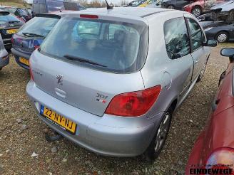 Peugeot 307 307 (3A/C/D), Hatchback, 2000 / 2009 2.0 16V picture 3