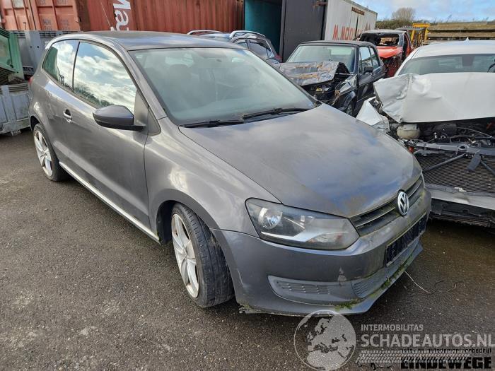 Volkswagen Polo Polo V (6R), Hatchback, 2009 / 2017 1.6 TDI 16V 90