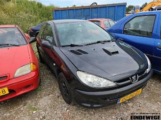 disassembly passenger cars Peugeot 206 206 (2A/C/H/J/S), Hatchback, 1998 / 2012 1.4 XR,XS,XT,Gentry 2004/6
