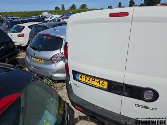 Fiat Doblo Doblo Cargo (263), Van, 2010 1.3 D Multijet picture 12