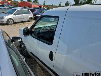 Fiat Doblo Doblo Cargo (263), Van, 2010 1.3 D Multijet picture 10