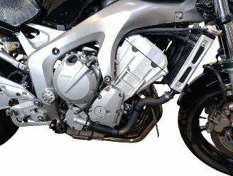 Yamaha FZ 6  picture 13
