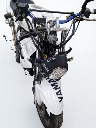 Yamaha FZ 6 Fazer  picture 15