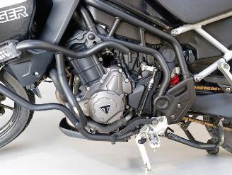 Triumph Tiger  picture 14