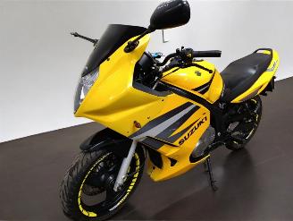 Suzuki GS 500 F picture 5