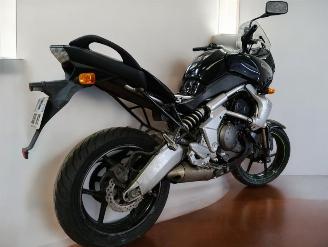 Kawasaki Versys  picture 11