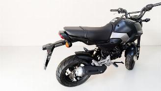 Honda MSX 125  picture 5