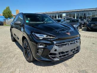Schadeauto Cupra   2025/3