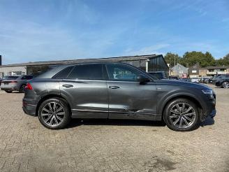Audi Q8 50 TDI quattro S line *KAM - AHK - NAV - LED* picture 2