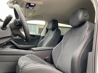 Volkswagen Passat Variant Business 2.0 TDI DSG *KAM - AHK* picture 19
