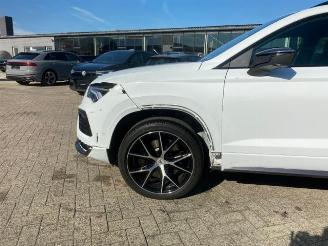 Cupra Ateca 2.0 TSI 4Drive DSG * PANO - KAM - NAV * picture 14