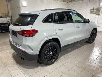 Mercedes GLA 250 4Matic AMG Line Advanced Plus Pano/AHK picture 9