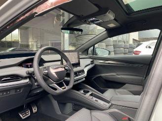 Skoda Enyaq RS 4x4 250kW HUD/PANO/360/NAVI picture 14