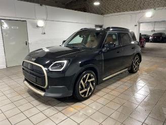 Mini Countryman E HUD/PANO/360/AHK/H&K/NAVI picture 2