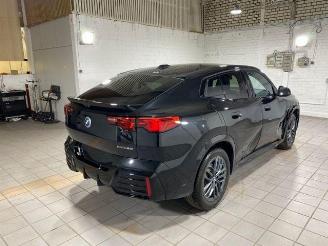 BMW iX2 eDrive20 M Sport KAM/NAVI picture 9