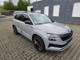 Skoda Karoq 1.5 TSI DSG Sportline KAM/NAVI picture 8