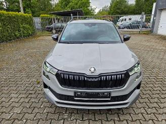Skoda Karoq 1.5 TSI DSG Sportline KAM/NAVI picture 7