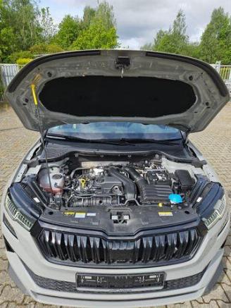 Skoda Karoq 1.5 TSI DSG Sportline KAM/NAVI picture 16