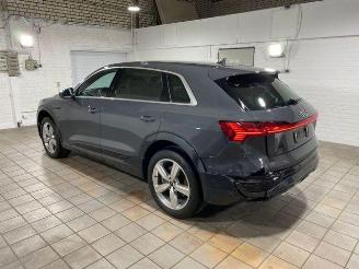 Audi Q8 e-tron 55 quattro advanced HUD/AHK/KAM/NAVI picture 8
