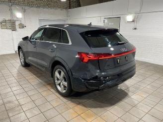Audi Q8 e-tron 55 quattro advanced HUD/AHK/KAM/NAVI picture 9