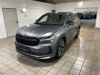 Auto incidentate Skoda Kodiaq iV 1.5 TSI e-Hybrid Sportline HUD/KAM 2024/11