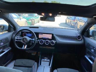 Mercedes GLA 250e AMG Line PANO/HUD/360/NAVI picture 16