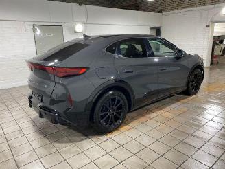 Cupra Tavascan VZ 4Drive PANO/HUD/360/SENNHEISER/NAVI picture 2