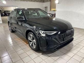 Audi Q8 e-tron 50 quattro S line HUD/360/NAVI picture 6