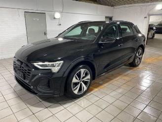 Audi Q8 e-tron 50 quattro S line HUD/360/NAVI picture 3