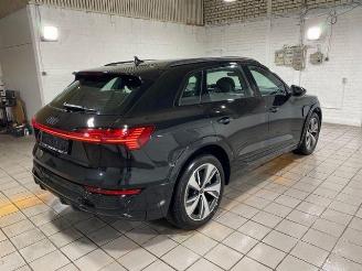 Audi Q8 e-tron 50 quattro S line HUD/360/NAVI picture 8