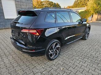 Skoda Karoq Sportline 4x4 2.0 TFSI PANO/360/NAVI picture 7