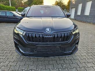 Skoda Karoq Sportline 4x4 2.0 TFSI PANO/360/NAVI picture 11
