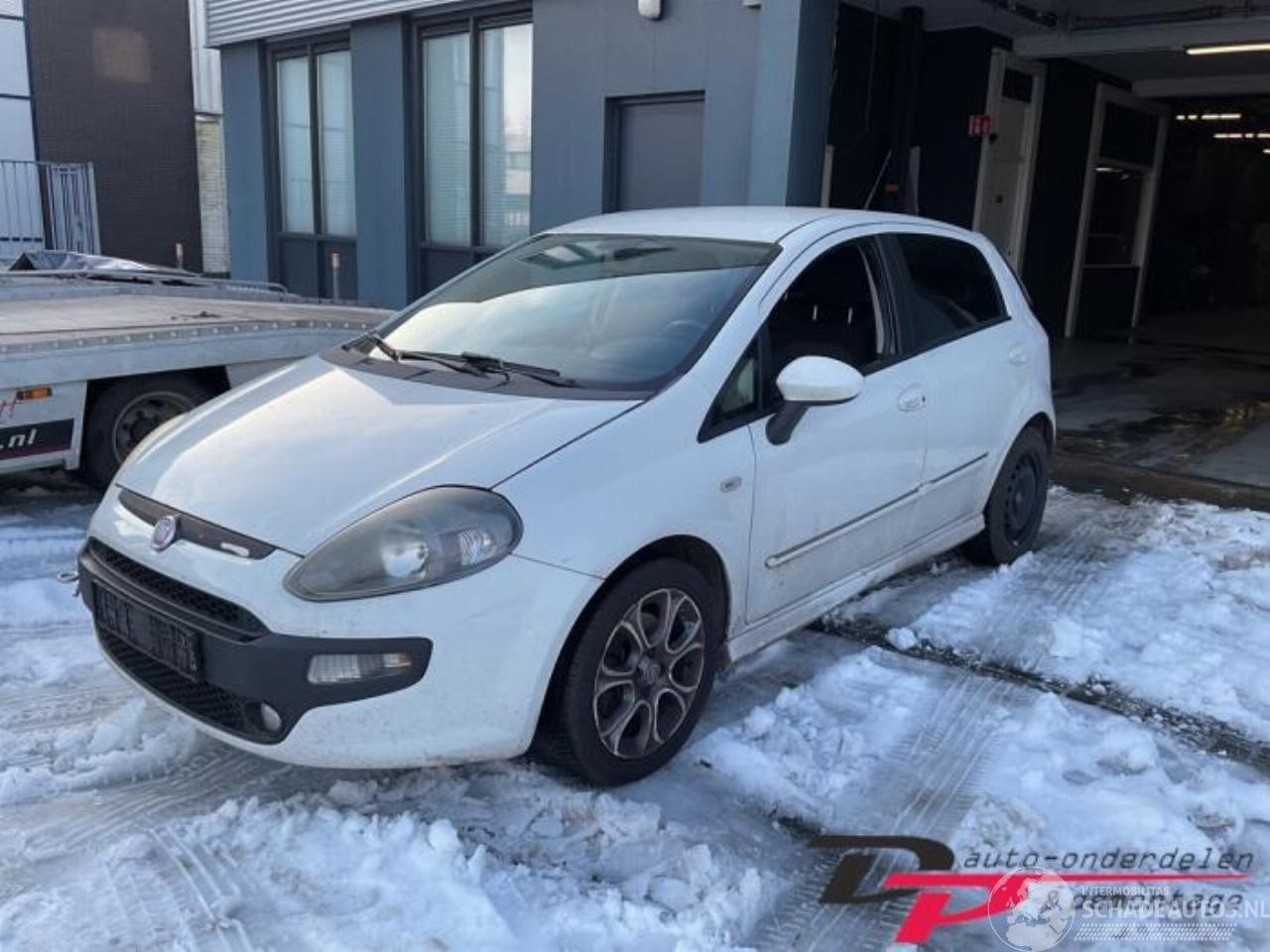 Fiat Punto Punto Evo (199), Hatchback, 2009 / 2012 1.3 JTD Multijet 85 16V Euro 5