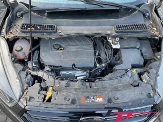 Ford Kuga Kuga II (DM2), SUV, 2012 1.5 EcoBoost 16V 150 picture 11