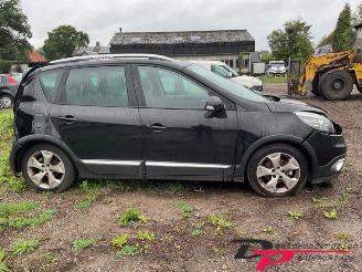 Renault Scenic Scenic III (JZ), MPV, 2009 / 2016 1.5 dCi 110 picture 4