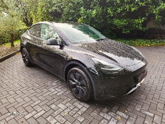 Tesla Model Y Model Y Long Range RWD Panorama Autopilot VOL!! picture 9
