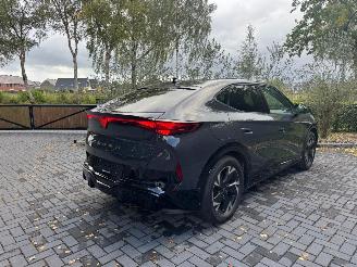 Cupra  Tavascan 210 kW Endurance Camera Ambiance LED picture 17