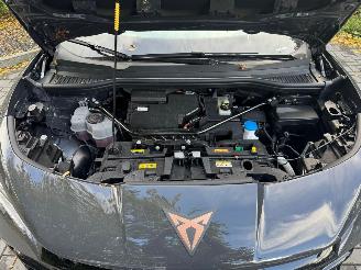 Cupra  Tavascan 210 kW Endurance Camera Ambiance LED picture 33