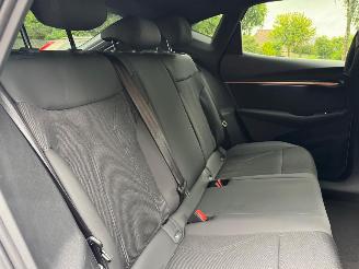 Cupra  Tavascan 210 kW Endurance Camera Ambiance LED picture 15