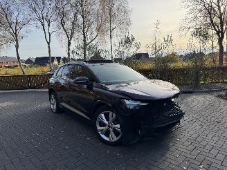 Unfallwagen Audi Q4 Audi Q4 E-tron 40e S-Line Panorama Camera LED VOL 2022/10