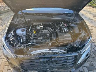 Audi Q2 Audi Q2 35 TFSI S line PANO CAMERA AHK Ambiance 2025 picture 21