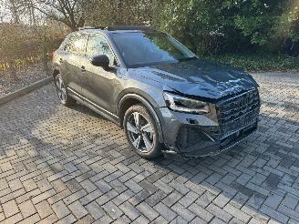 Audi Q2 Audi Q2 35 TFSI S line PANO CAMERA AHK Ambiance 2025 picture 25